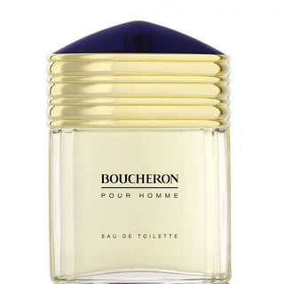 Boucheron Pour Homme edt 100ml