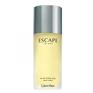 Calvin Klein Escape for Men edt 100ml