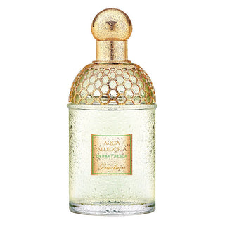 Guerlain Aqua Allegoria Herba Fresca edt 125ml