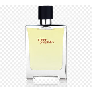 Hermes Eau D'Hermes edt 100ml