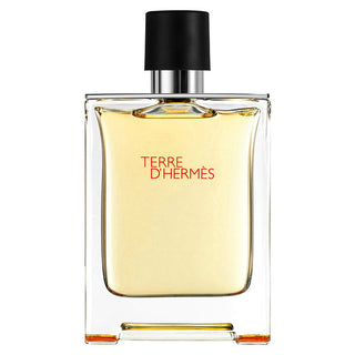 Hermès Terre D'Hermes edt 100ml