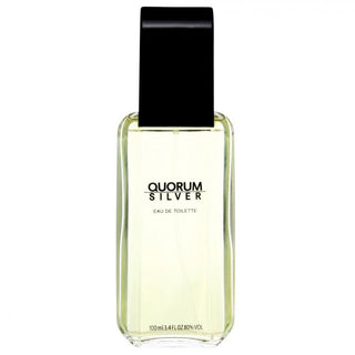 Antonio Puig Quorum Silver edt 100ml